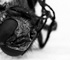 deadfly