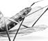 deadfly