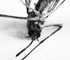 deadfly