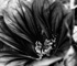 fotomarathon_misc