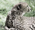 zoo2010