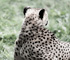 zoo2010