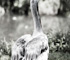 zoo2010
