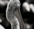 zoo2010